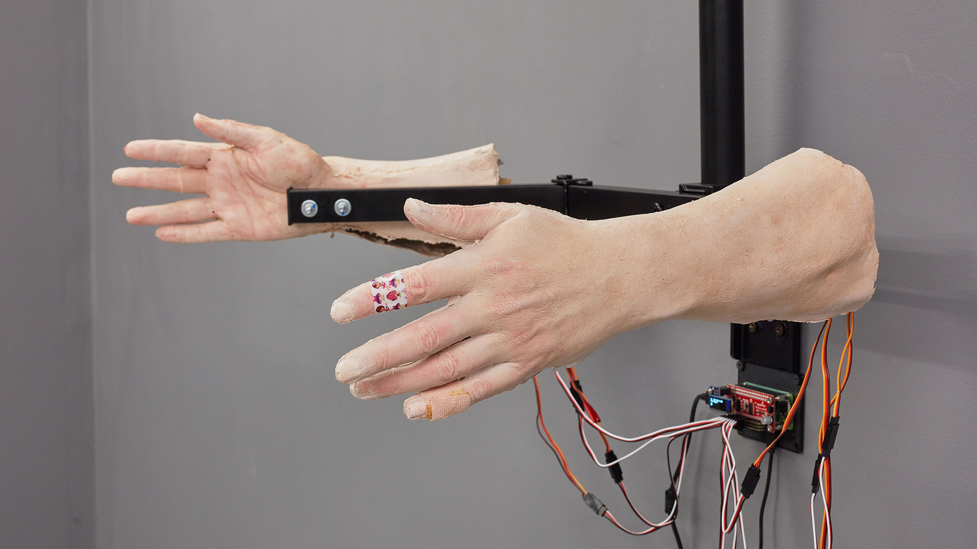 Two realistic forearms and hands, one with a sticking plaster, fixed to a metal structure with wires