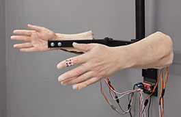 Two realistic forearms and hands, one with a sticking plaster, fixed to a metal structure with wires