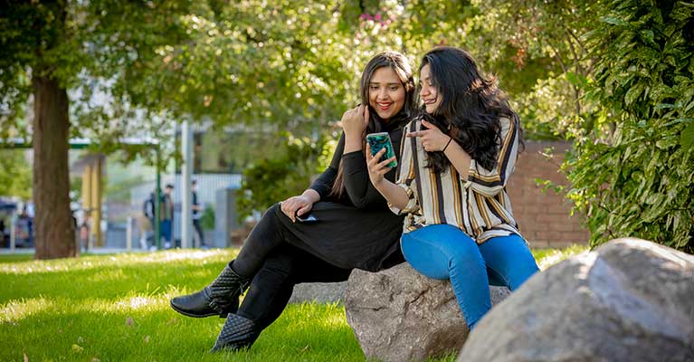 Two students sat outside on a rock looking at their phone on a sunny day