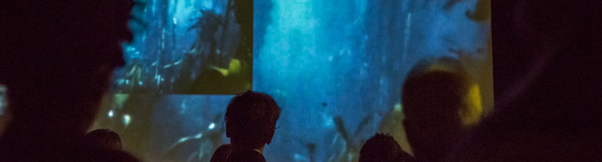 Group of people looking at a digital screen