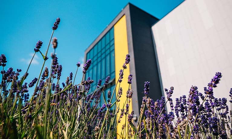 Exterior view of the CU Scarborough building 